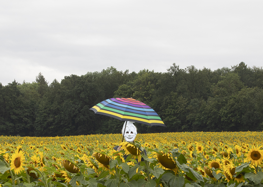 Autor mit Maske im Sonnenblumenfeld